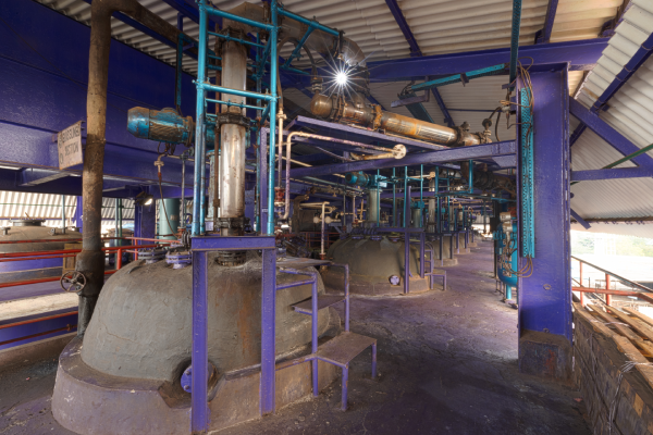 plant-production 1